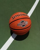 SGT NeverFlat Hexagrip Indoor-Outdoor Basketball 